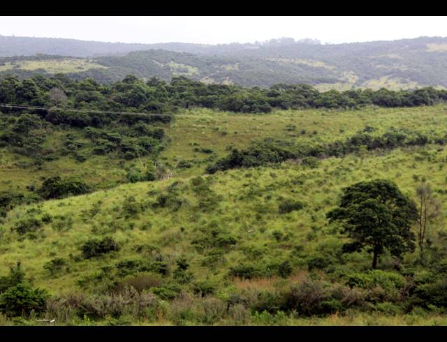 168HA FARM FOR SALE IN EAST LONDON RURAL